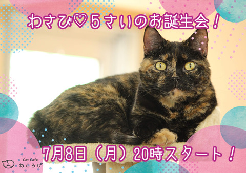 わさびBDポスター