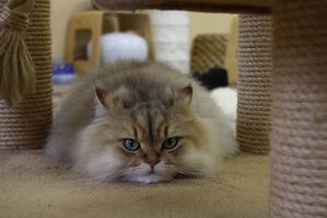 IMG_1144