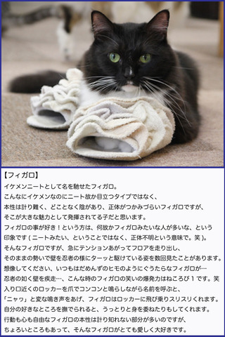 フィガロ