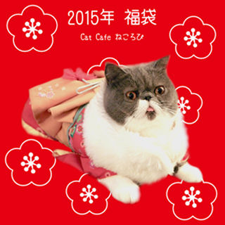 きよ