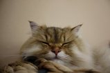 IMG_1633
