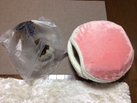 image11