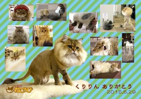 くりりん卒業ブロマイド