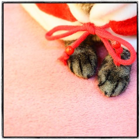 みさとさん のコピー