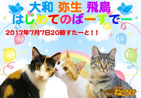 やまやよあすBDポスター