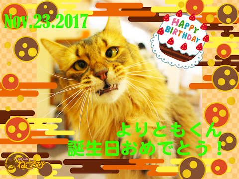 よりともBDブロマイド のコピー