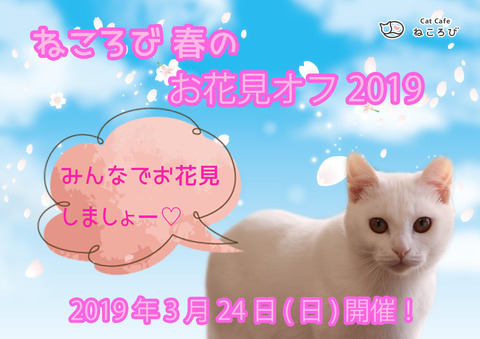 お花見オフ2019