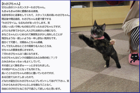 わさび