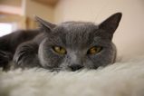 IMG_1611