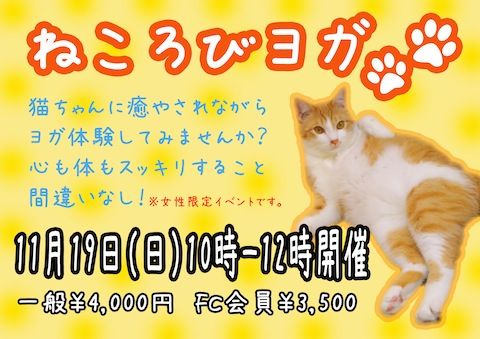 ねブログ
