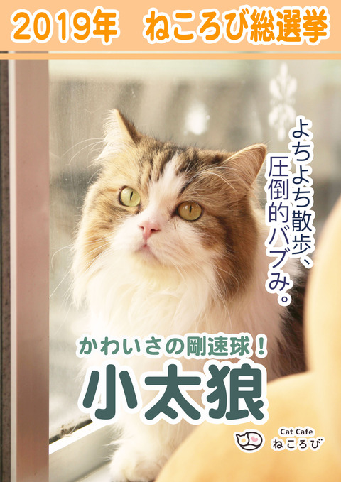 小太狼 のコピー
