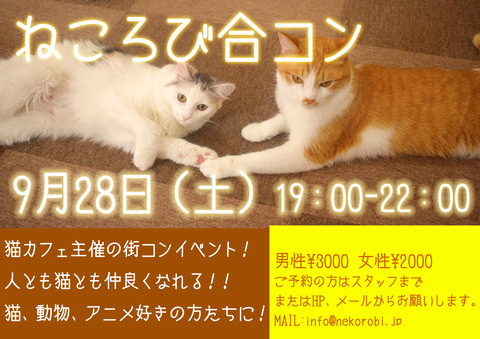 合コン
