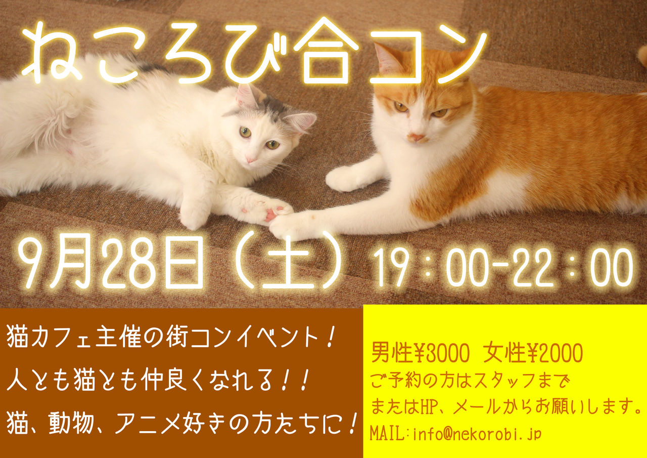 第34回ねころび合コン開催のお知らせ