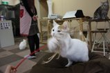 IMG_1411