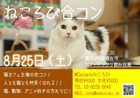 第21回合コン