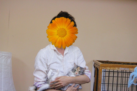 IMG_0719¤Î¥³¥Ò゚¡¼