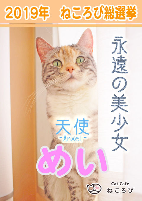 2019ǯÁíÁªµó¥Û゚¥¹¥¿¡¼¤á¤¤