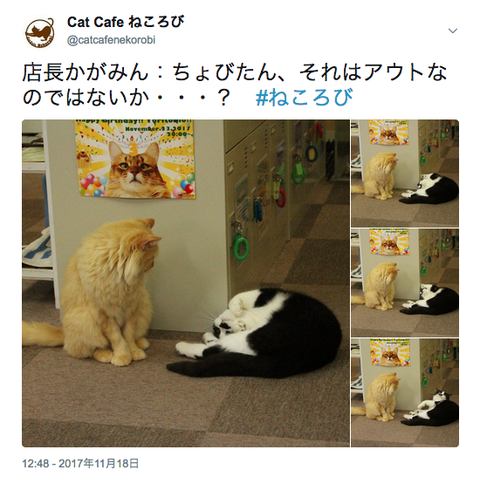 47