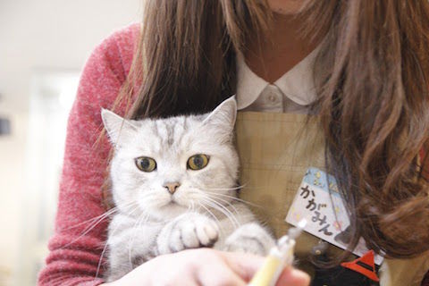 どらちゃん