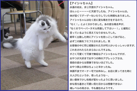 アイシャ