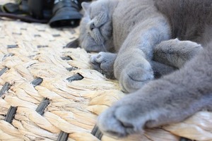IMG_3567
