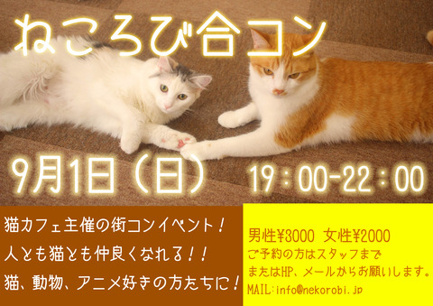 合コン