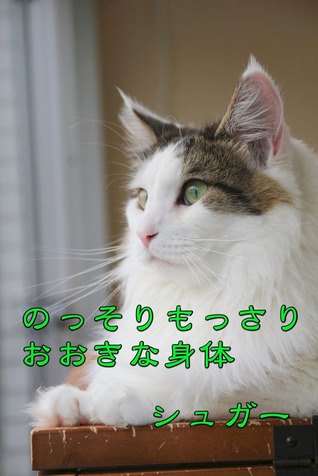 シュガ