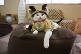 IMG_1438
