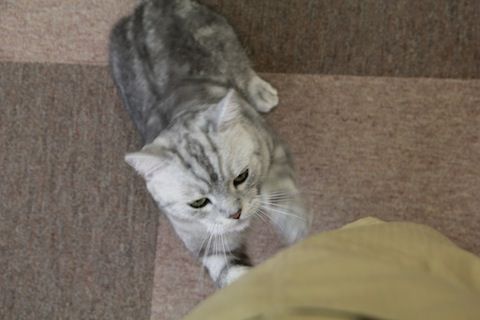 IMG_0061