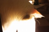 IMG_5418