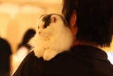 羨ましい!!