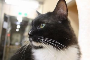 IMG_9413