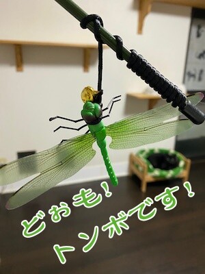 その他333