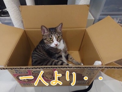 魚卵471