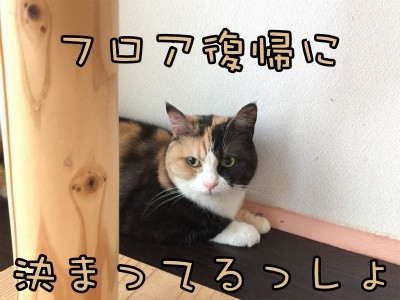 きよ27