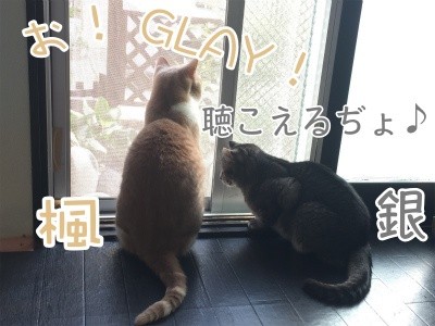みんな1014