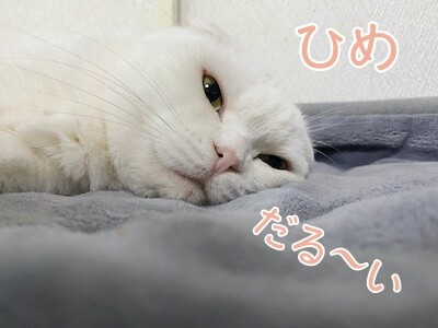 ひめ112