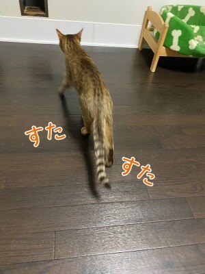 みさき330