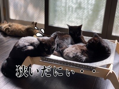 みんな1681
