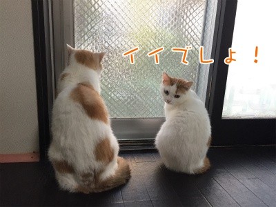 みんな939
