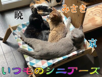 みんな1036