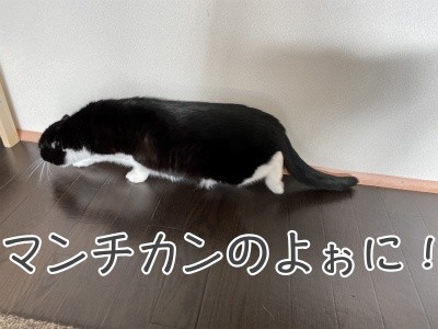 澪131