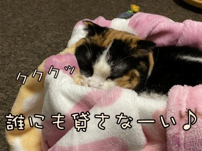 いよ246