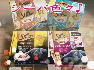 その他281