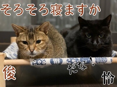 みんな2162