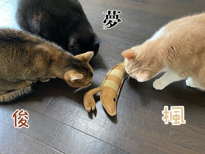 みんな13