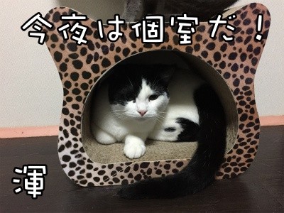 渾22