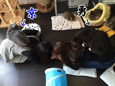 みんな (105)