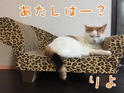 りよ125