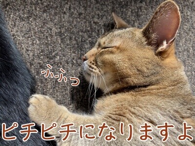 俊315